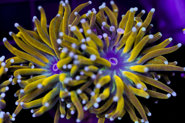 import placeholder for 3051257