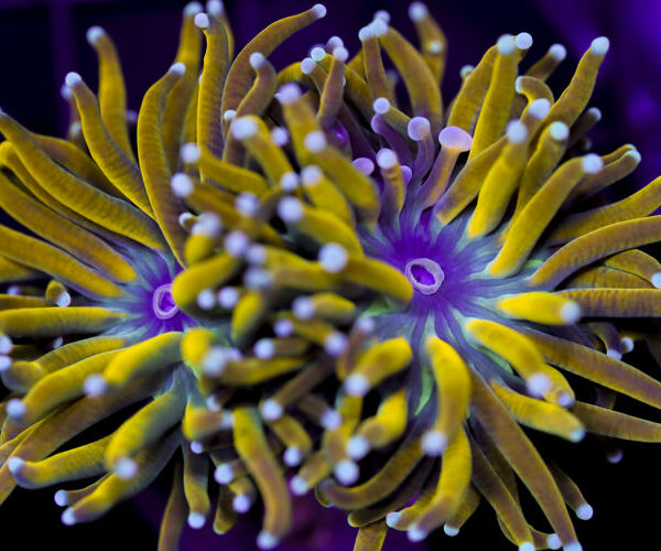 import placeholder for 3051257