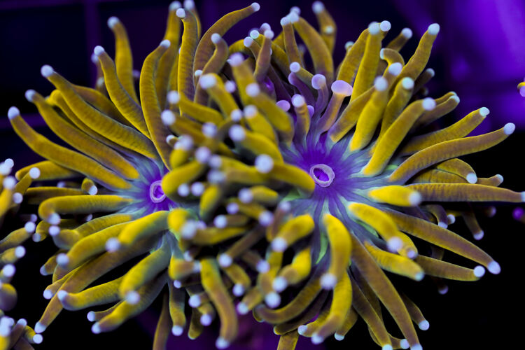 import placeholder for 3051257