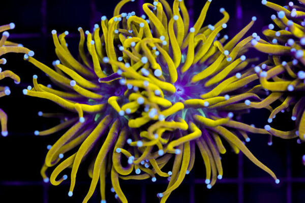 import placeholder for 3051249