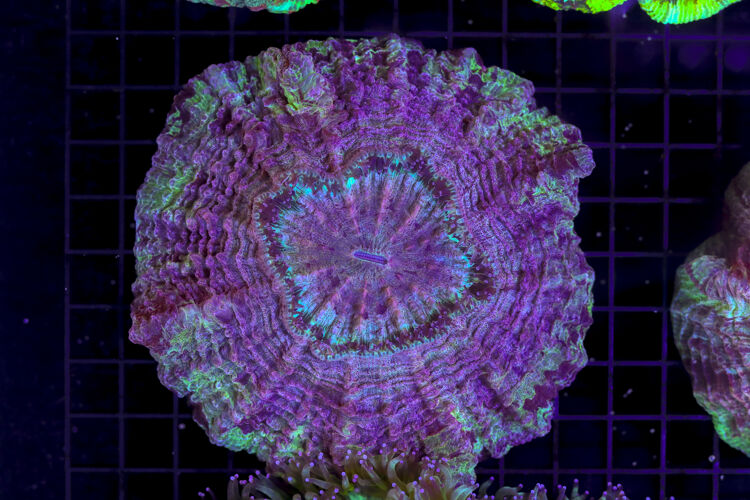 import placeholder for 3049614