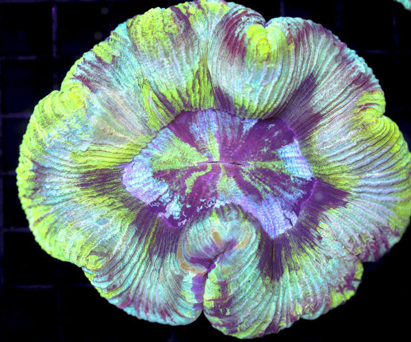 import placeholder for 3049574