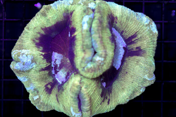 import placeholder for 3049573