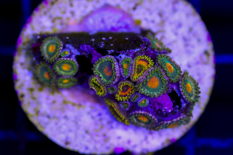 import placeholder for 3049082