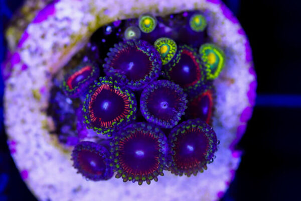 import placeholder for 3049081