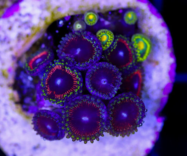 import placeholder for 3049081