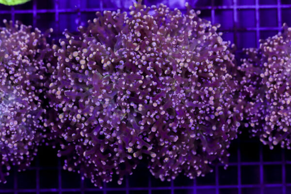 import placeholder for 3049027