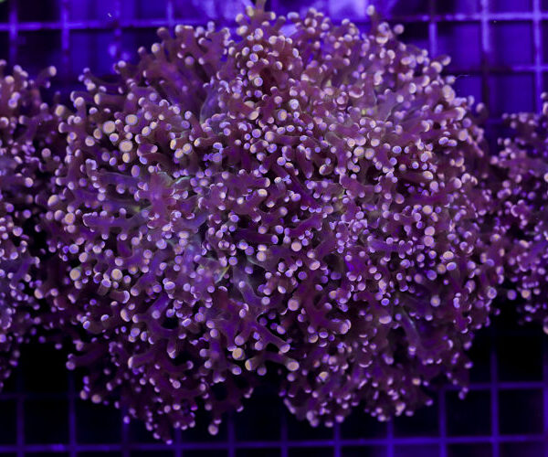 import placeholder for 3049027