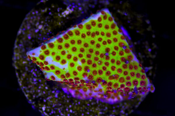 import placeholder for 3049020