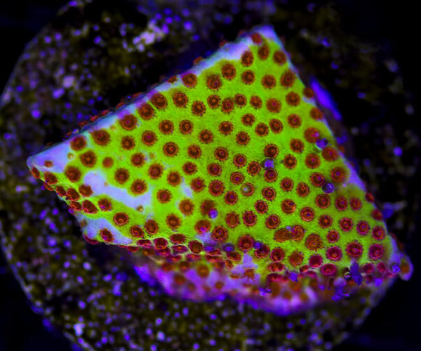 import placeholder for 3049020