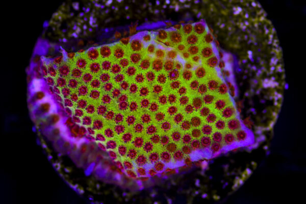 import placeholder for 3049019