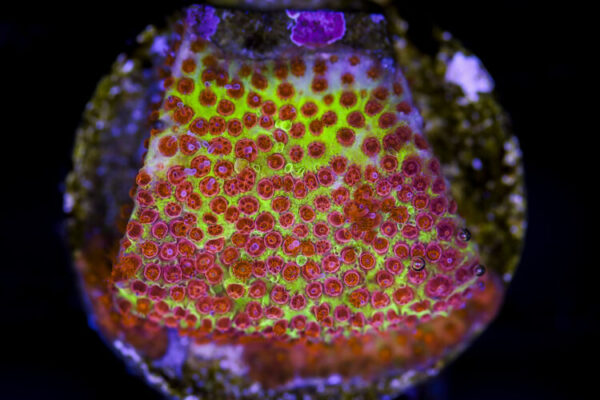 import placeholder for 3049018