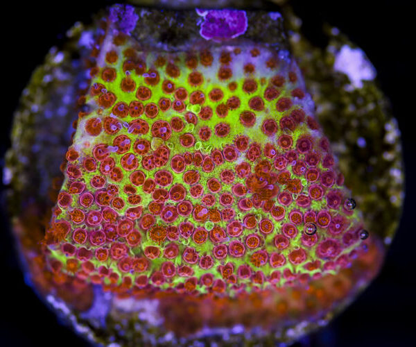 import placeholder for 3049018