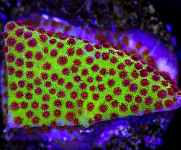 import placeholder for 3049017