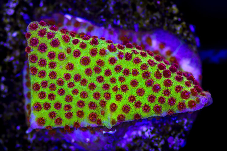 import placeholder for 3049017