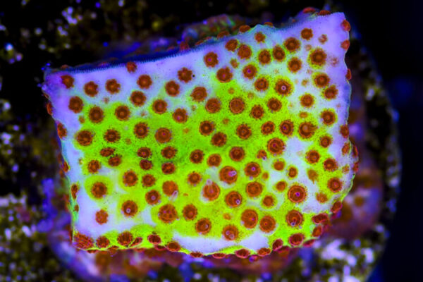 import placeholder for 3049016