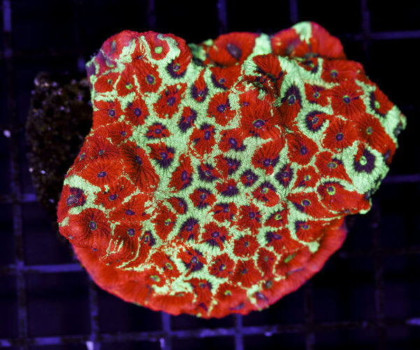 import placeholder for 3049011