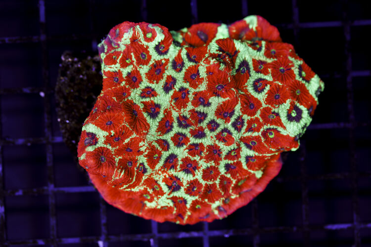 import placeholder for 3049011