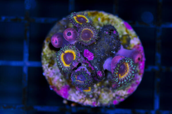 import placeholder for 3048998