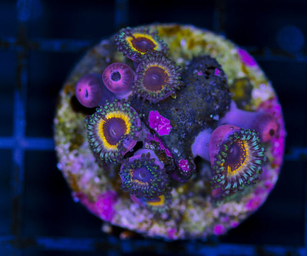 import placeholder for 3048998