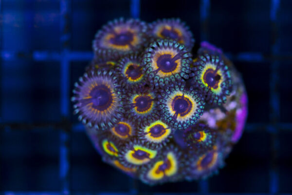 import placeholder for 3048996