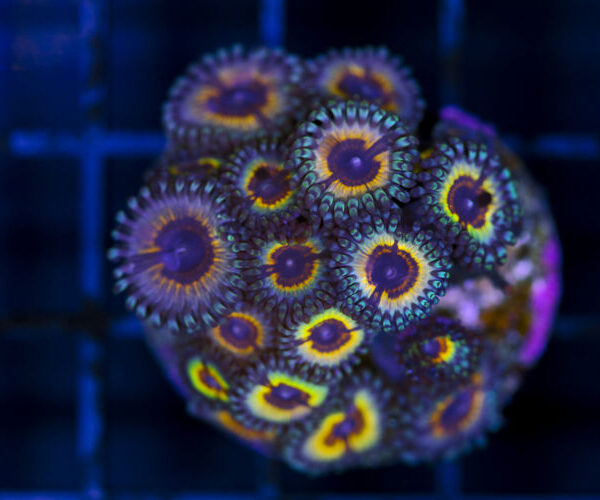 import placeholder for 3048996