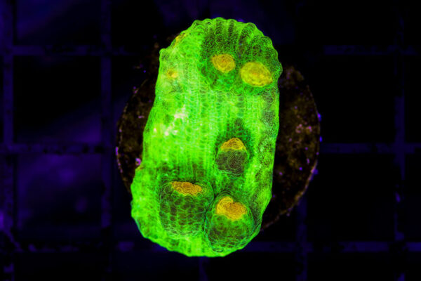 import placeholder for 3048978