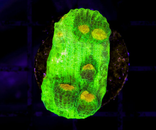 import placeholder for 3048978