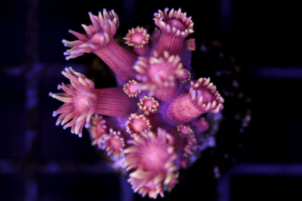 import placeholder for 3048975