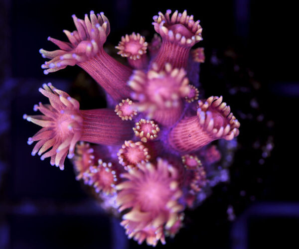 import placeholder for 3048975