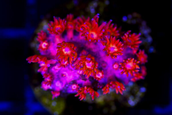 import placeholder for 3048973