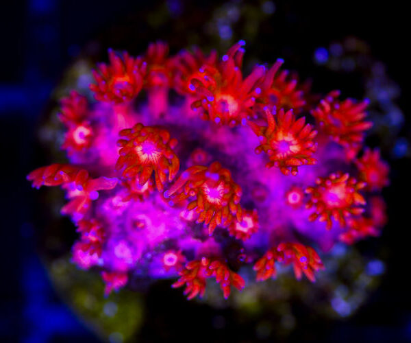 import placeholder for 3048973