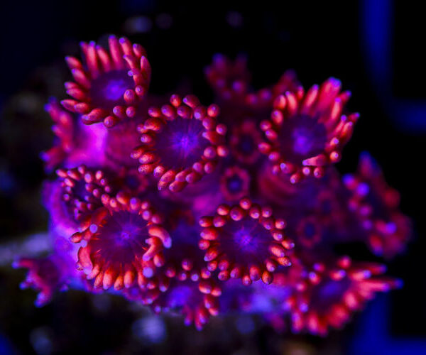 import placeholder for 3048972