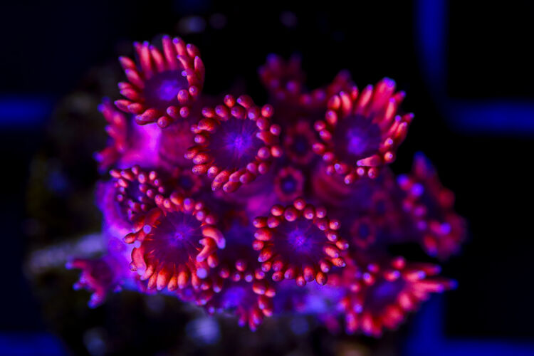 import placeholder for 3048972