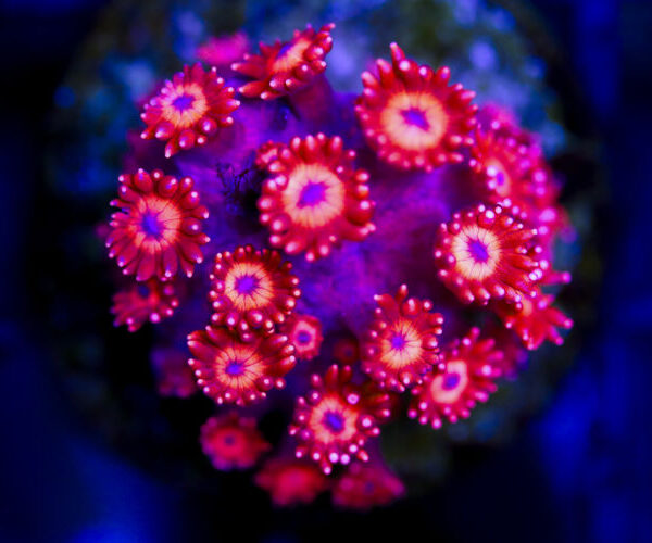 import placeholder for 3048969