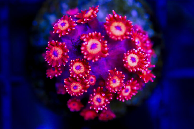 import placeholder for 3048969