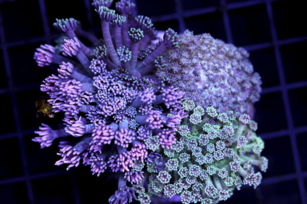 import placeholder for 3048937