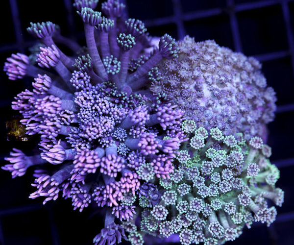 import placeholder for 3048937