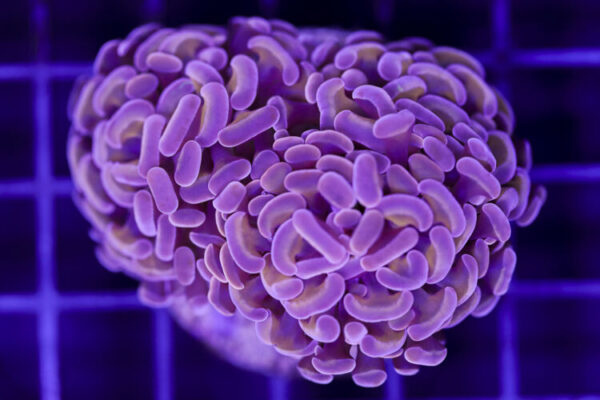 import placeholder for 3048935