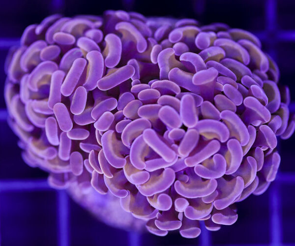 import placeholder for 3048935