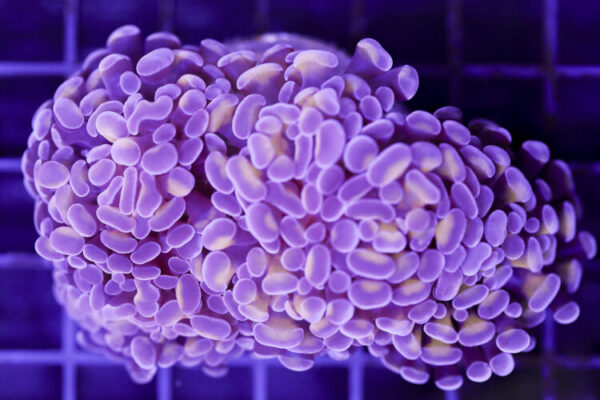 import placeholder for 3048934