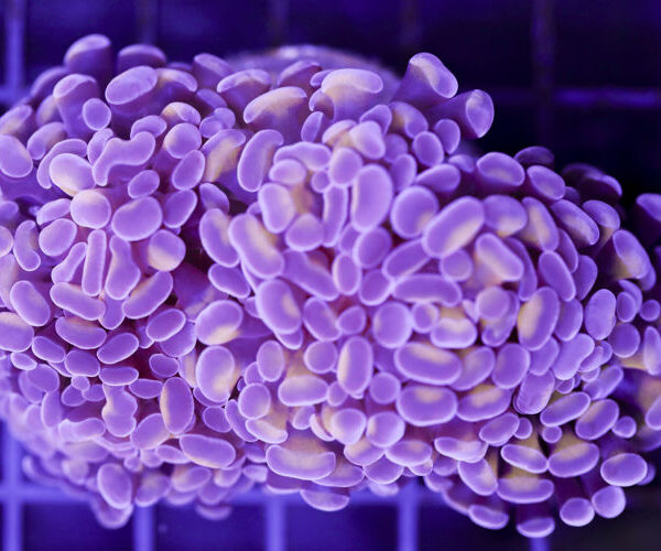 import placeholder for 3048934