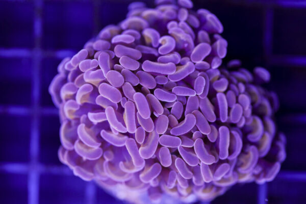 import placeholder for 3048933