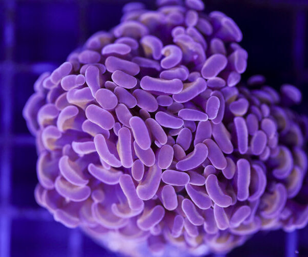 import placeholder for 3048933