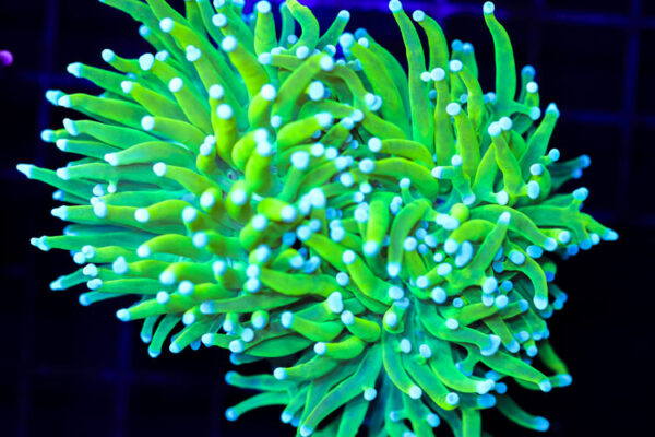 import placeholder for 3047314