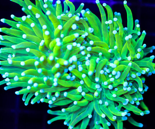 import placeholder for 3047314