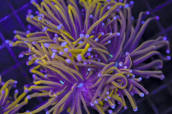 import placeholder for 3047311