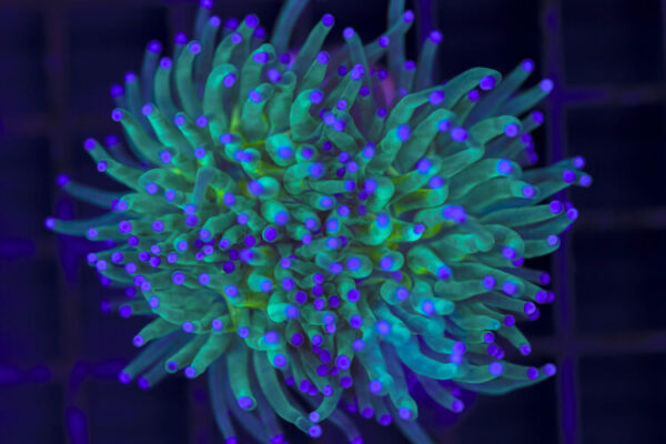 import placeholder for 3047299