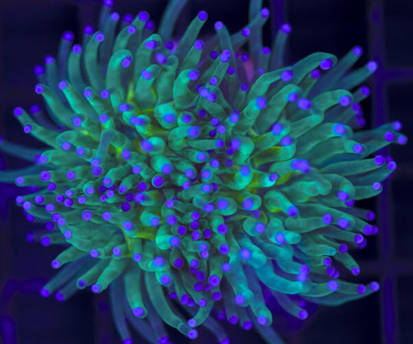 import placeholder for 3047299