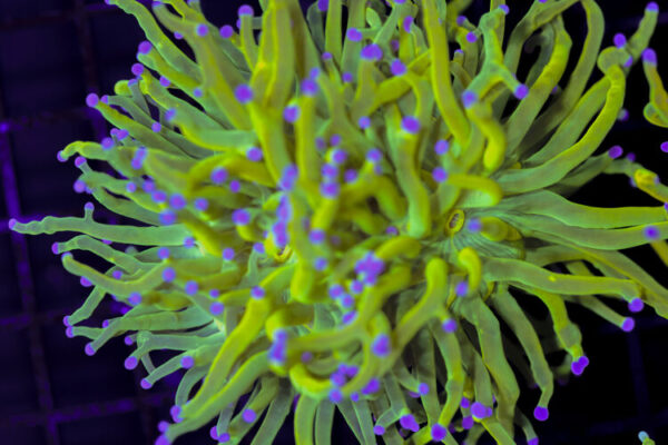 import placeholder for 3047293